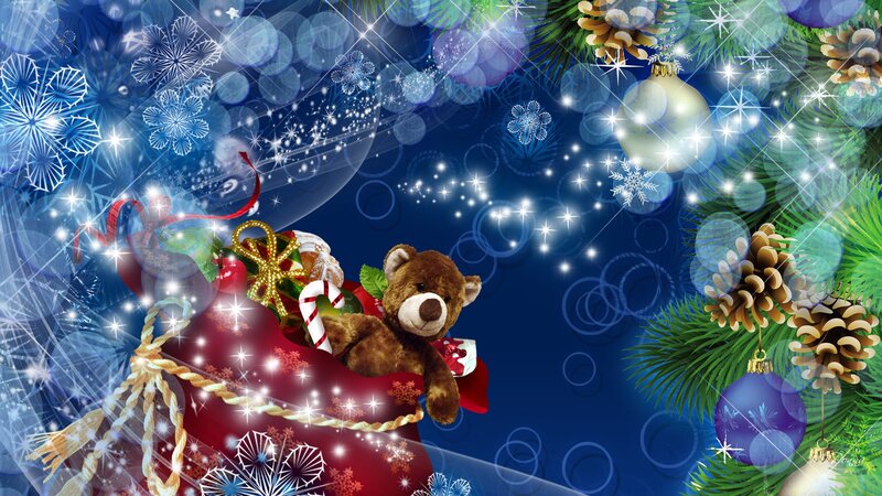 Teddy Bear in Sack