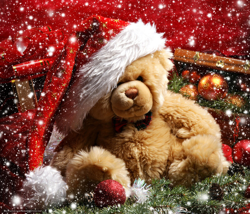 Teddy bear in Santa hat