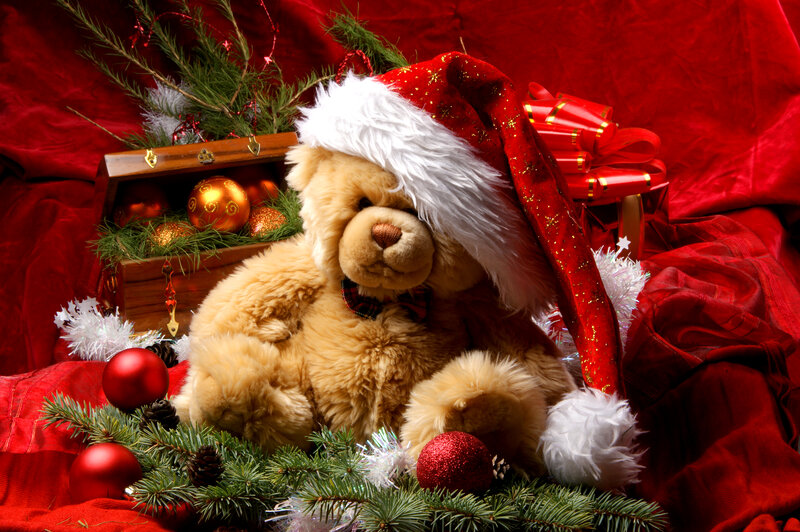 Teddy Bear in Santa Hat — Red, Festive, Winter, Photograph, Santa Hat
