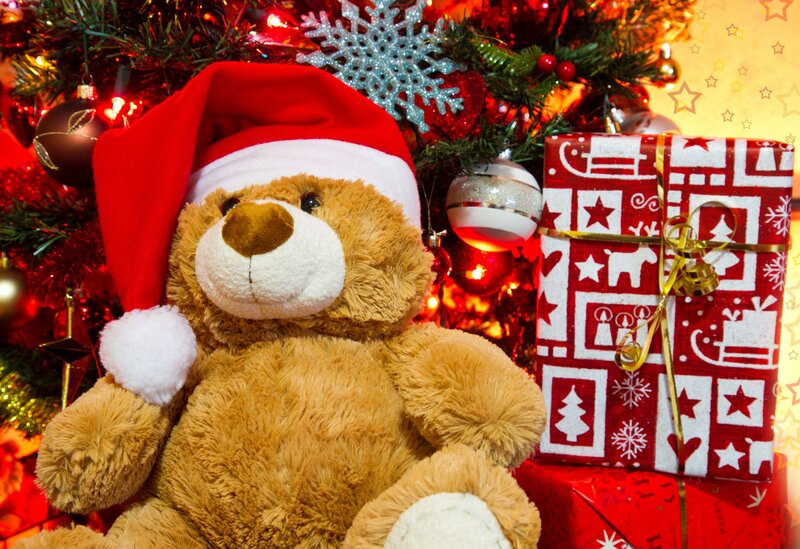 Teddy Bear in Santa Hat — Red, Festive, Winter, Photograph