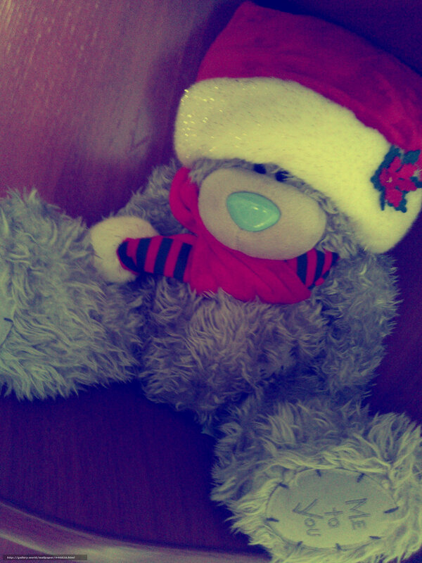 teddy bear in santa hat