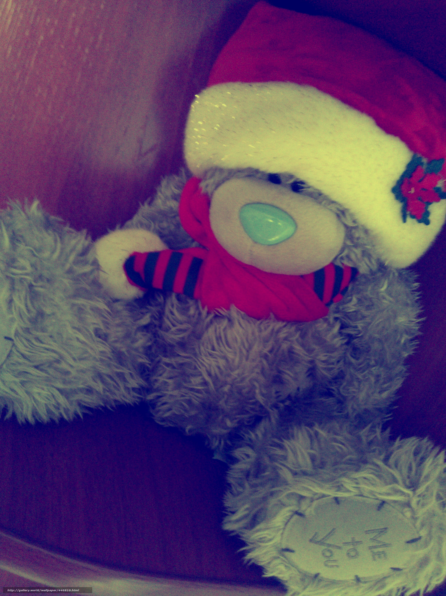teddy bear in santa hat