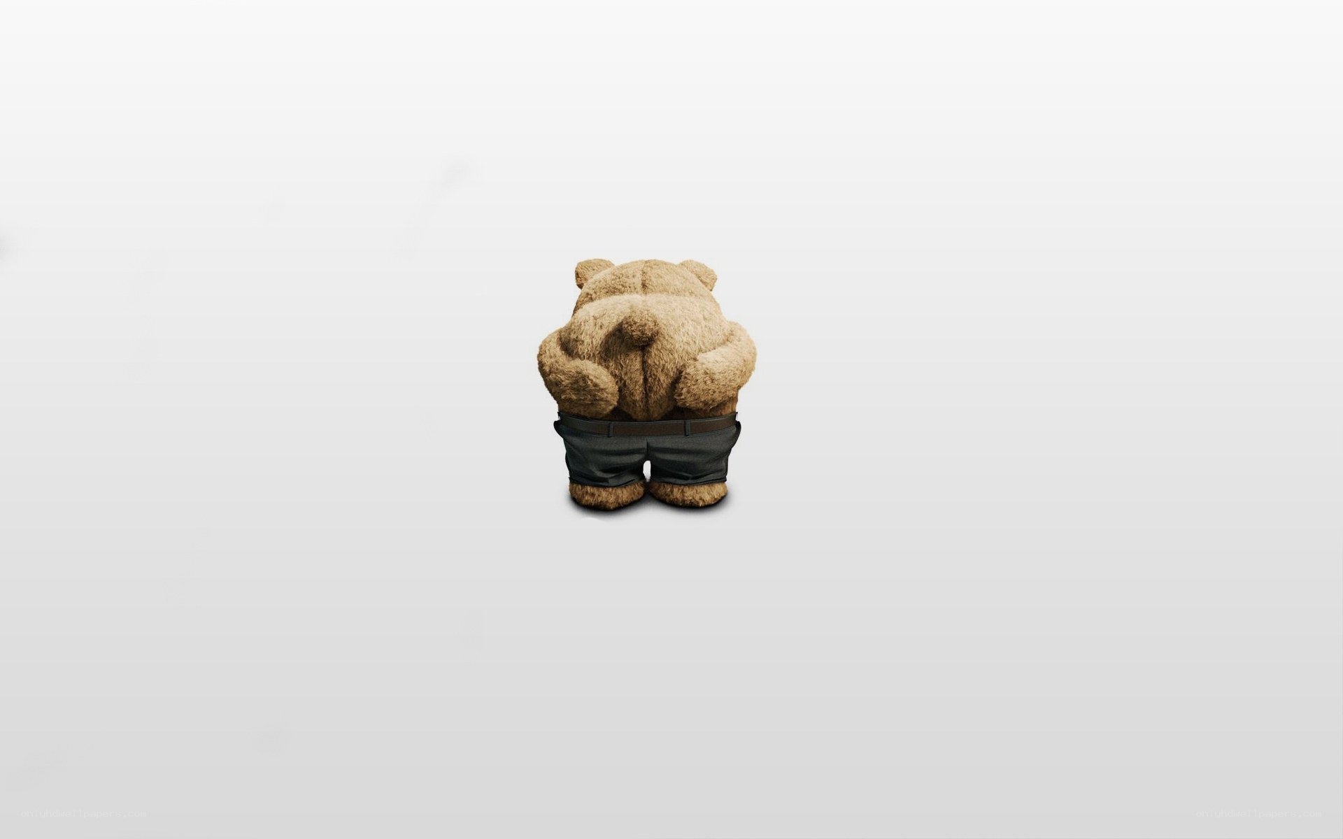 teddy bear in shorts
