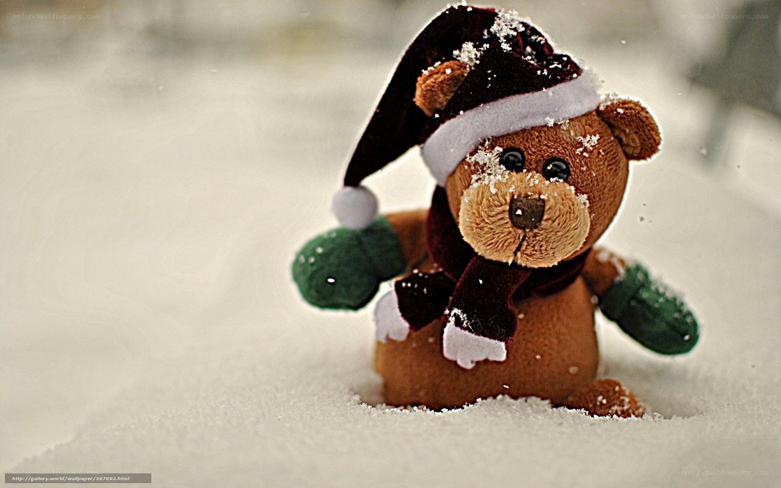 teddy bear in snow