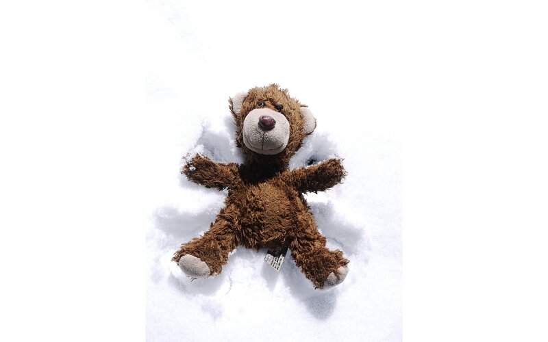teddy bear in snow