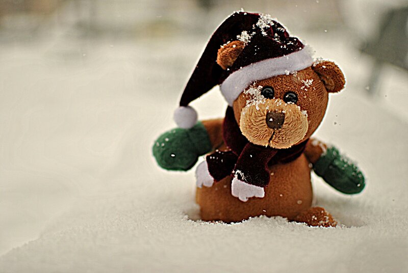 Teddy Bear in Snow — Brown, Calm