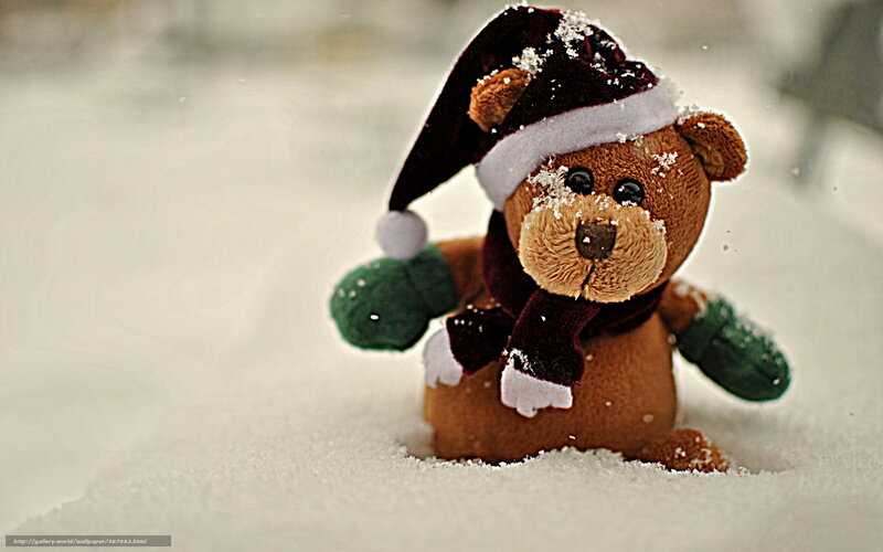 Teddy Bear in Snow — Brown, Calm, Winter, Photograph