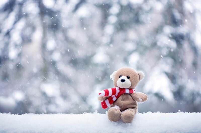 Teddy Bear in Snow — Brown