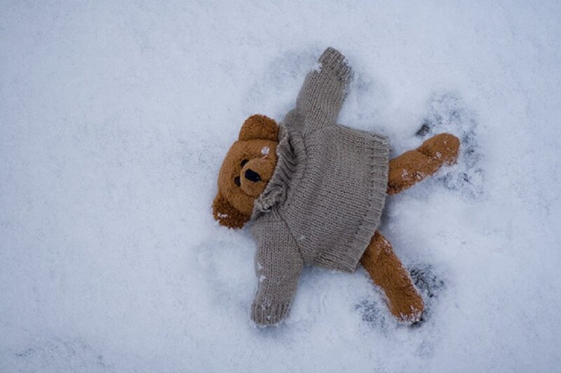 Teddy Bear in Snow — White, Calm