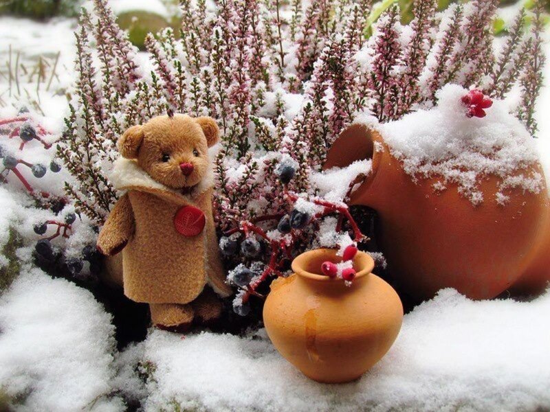 Teddy Bear in Snow — White, Peaceful