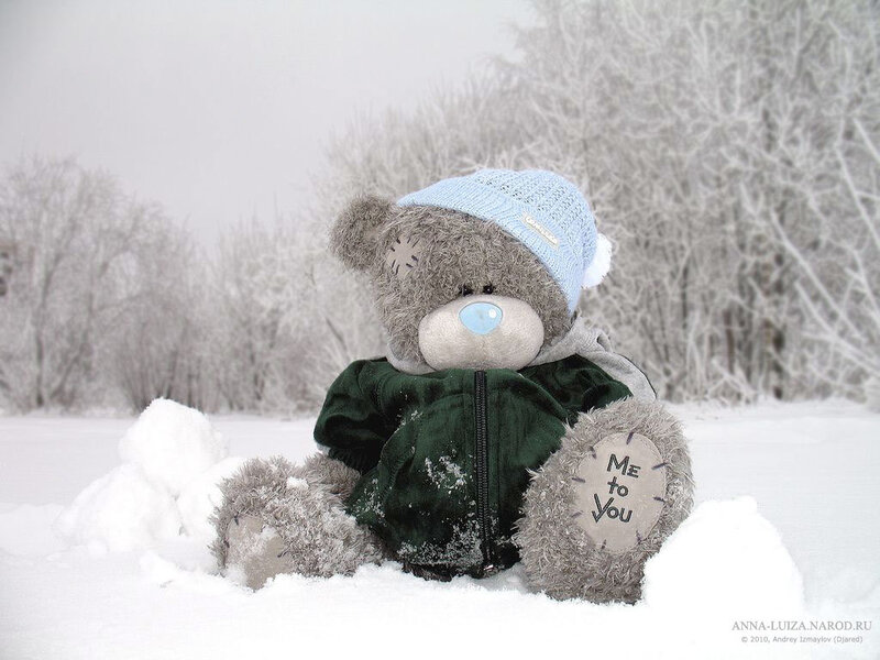Teddy Bear in Snow — White