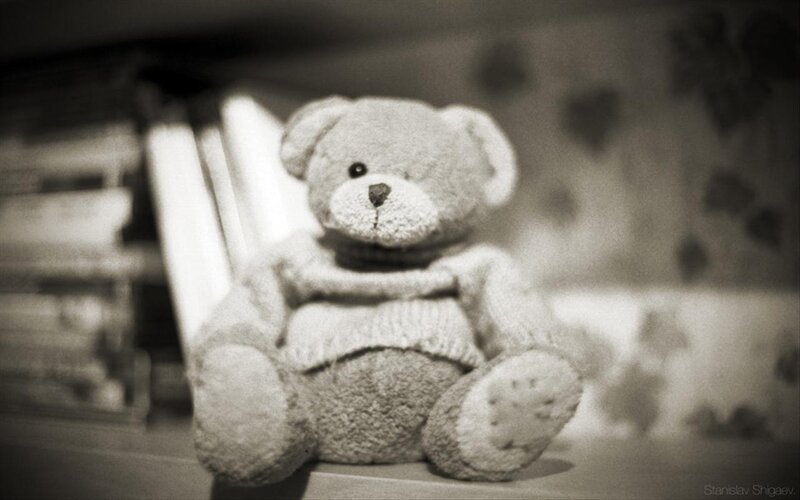 Teddy Bear in Sweater — Black