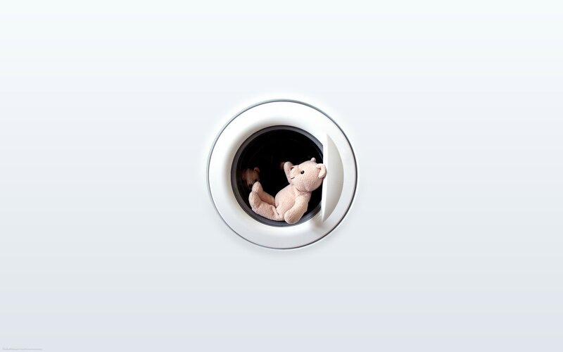 teddy bear in washing machine