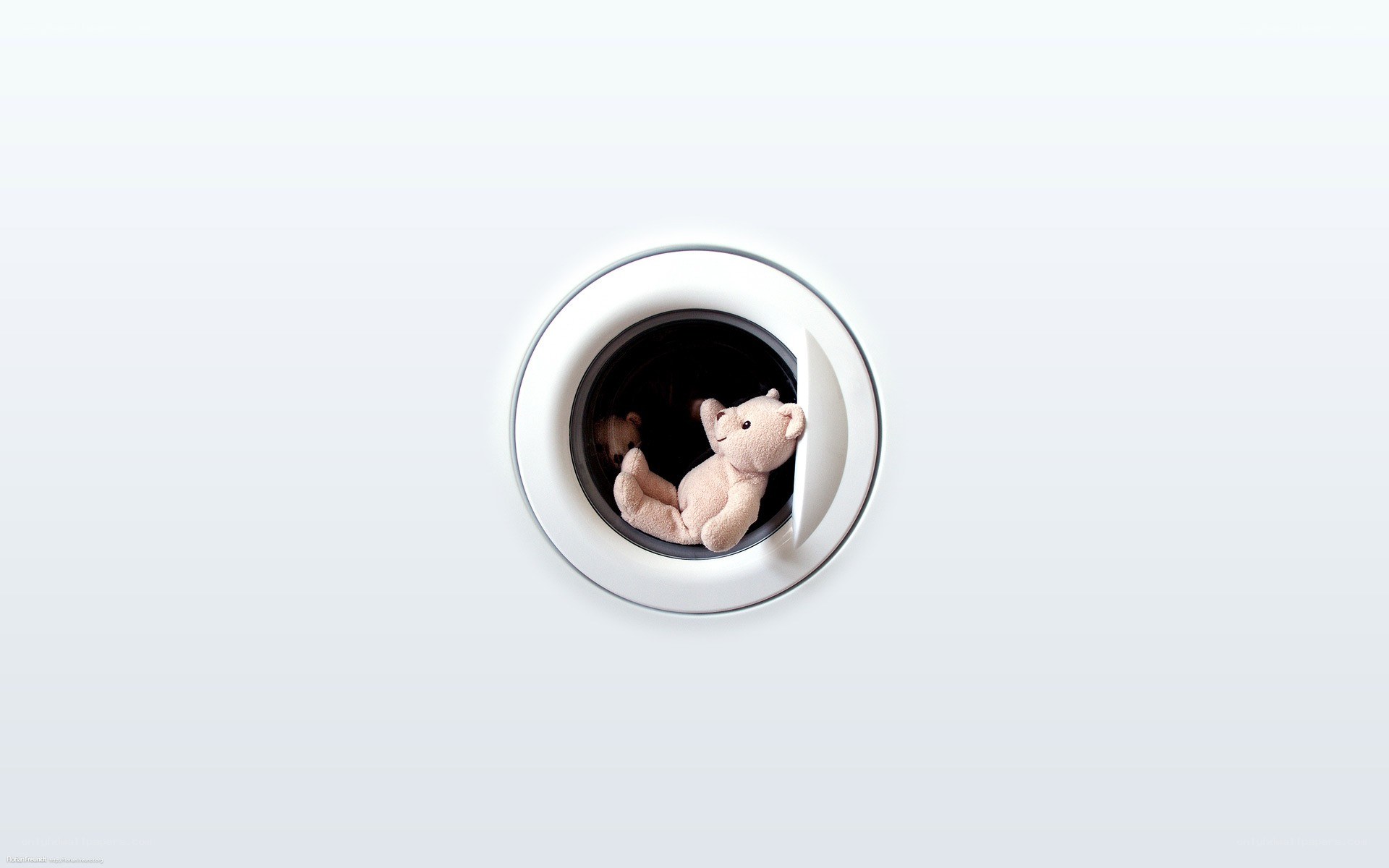 teddy bear in washing machine