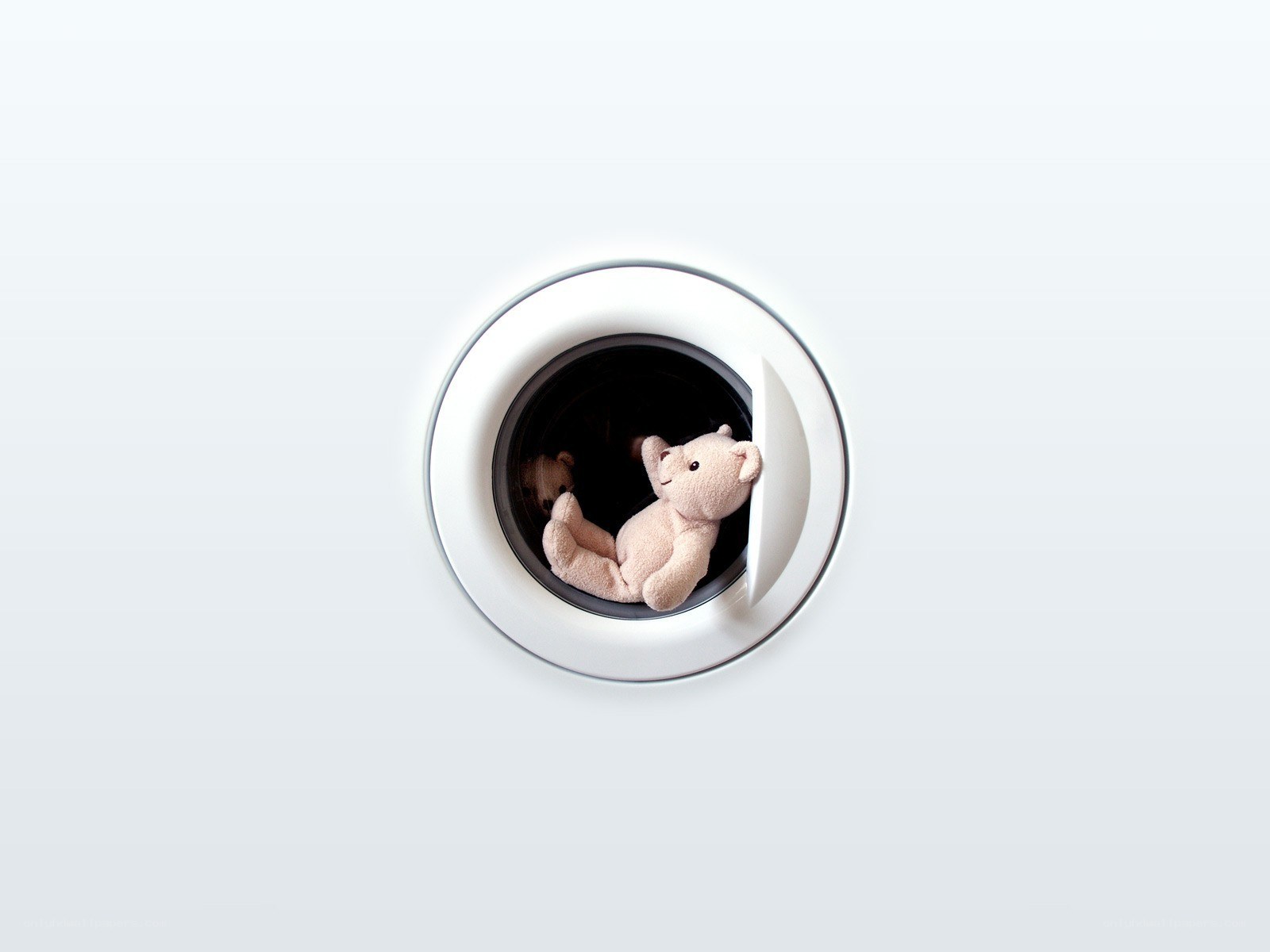 teddy bear in washing machine