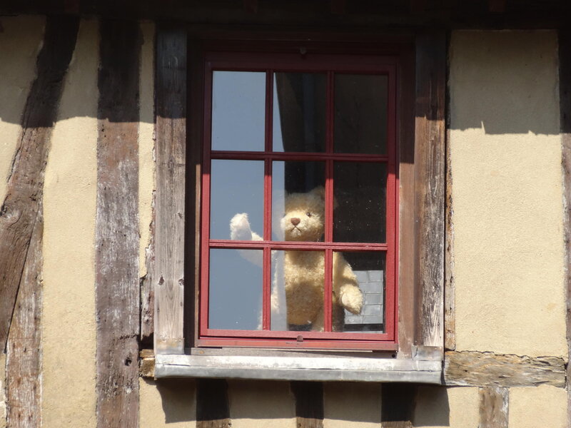Teddy Bear in Window — Brown