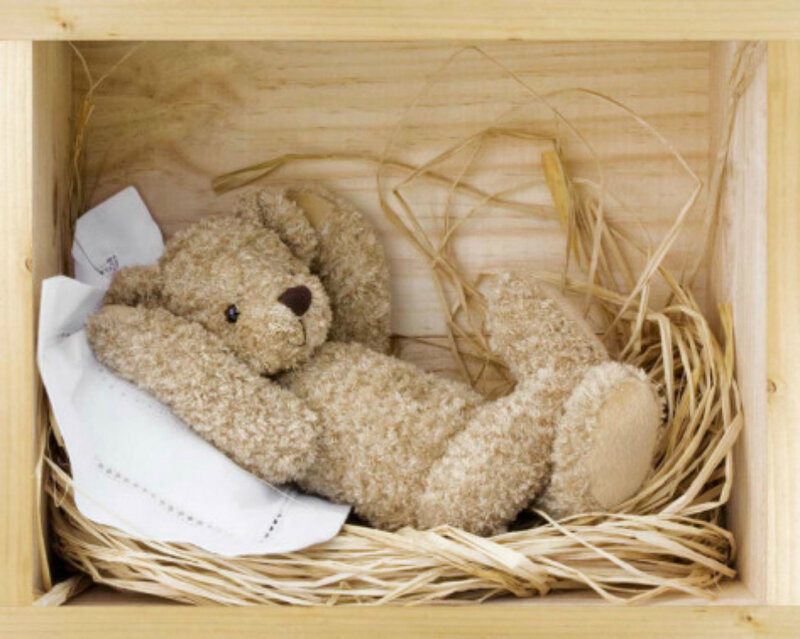 Teddy Bear in Wooden Box