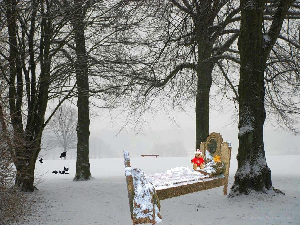 Teddy bear on a bed in snow