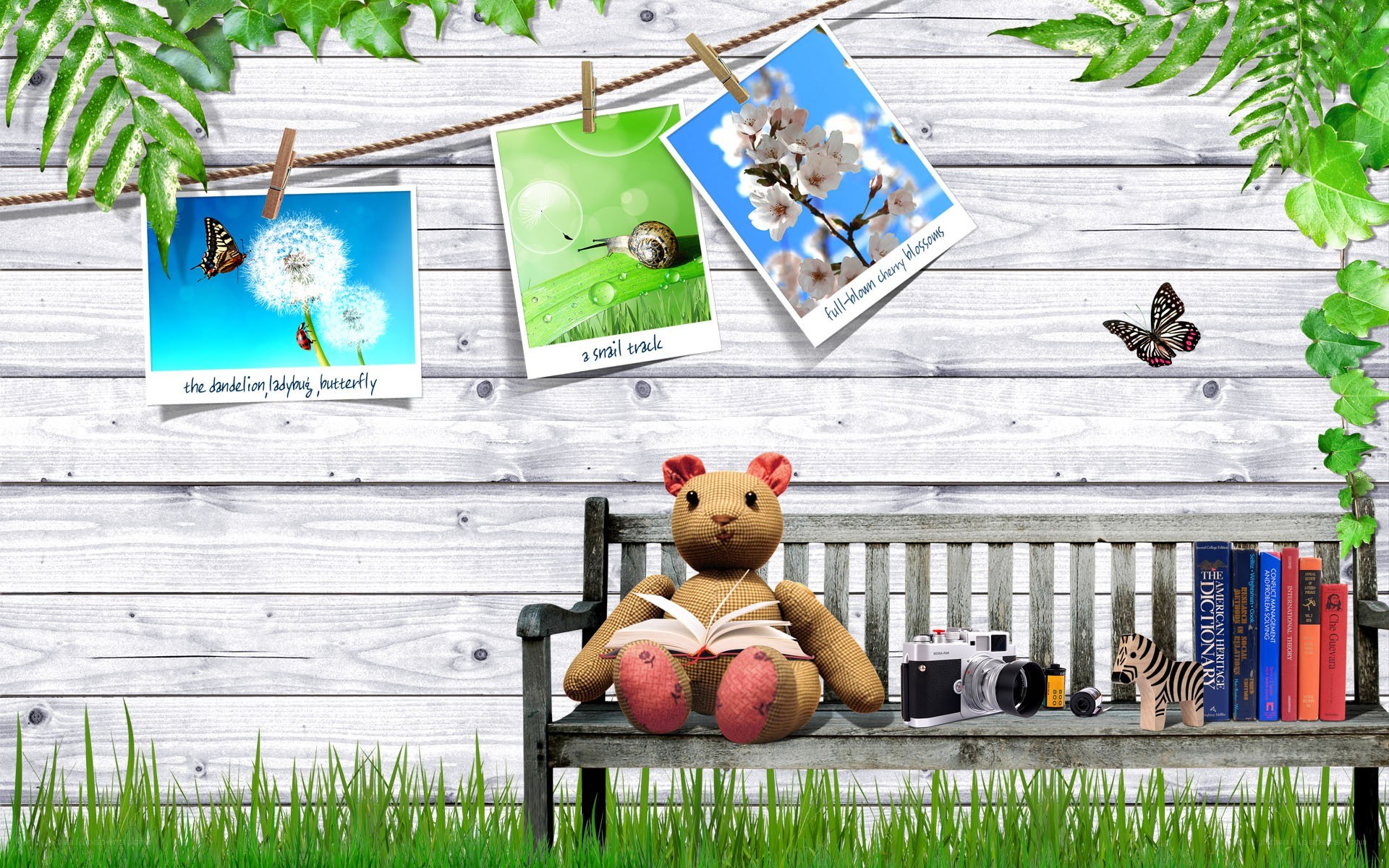 teddy bear on a bench