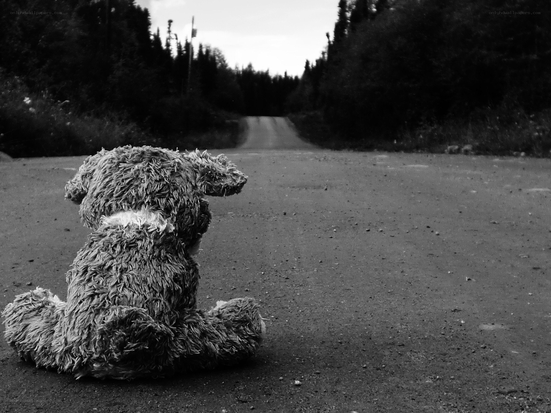 Teddy bear on a lonely road