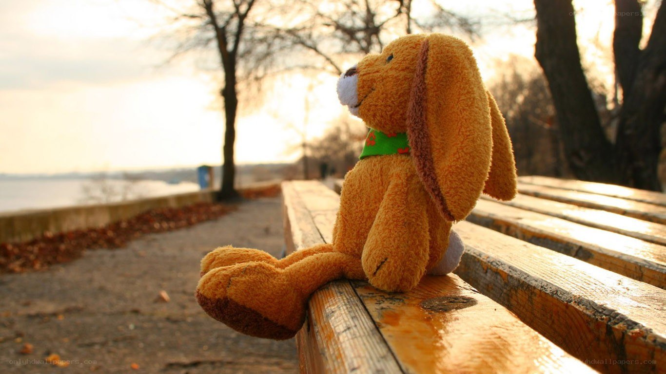 teddy bear on a park bench