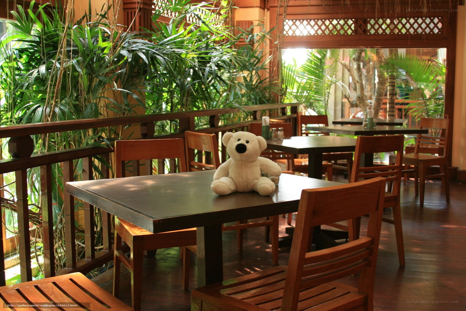 Teddy bear on a restaurant table