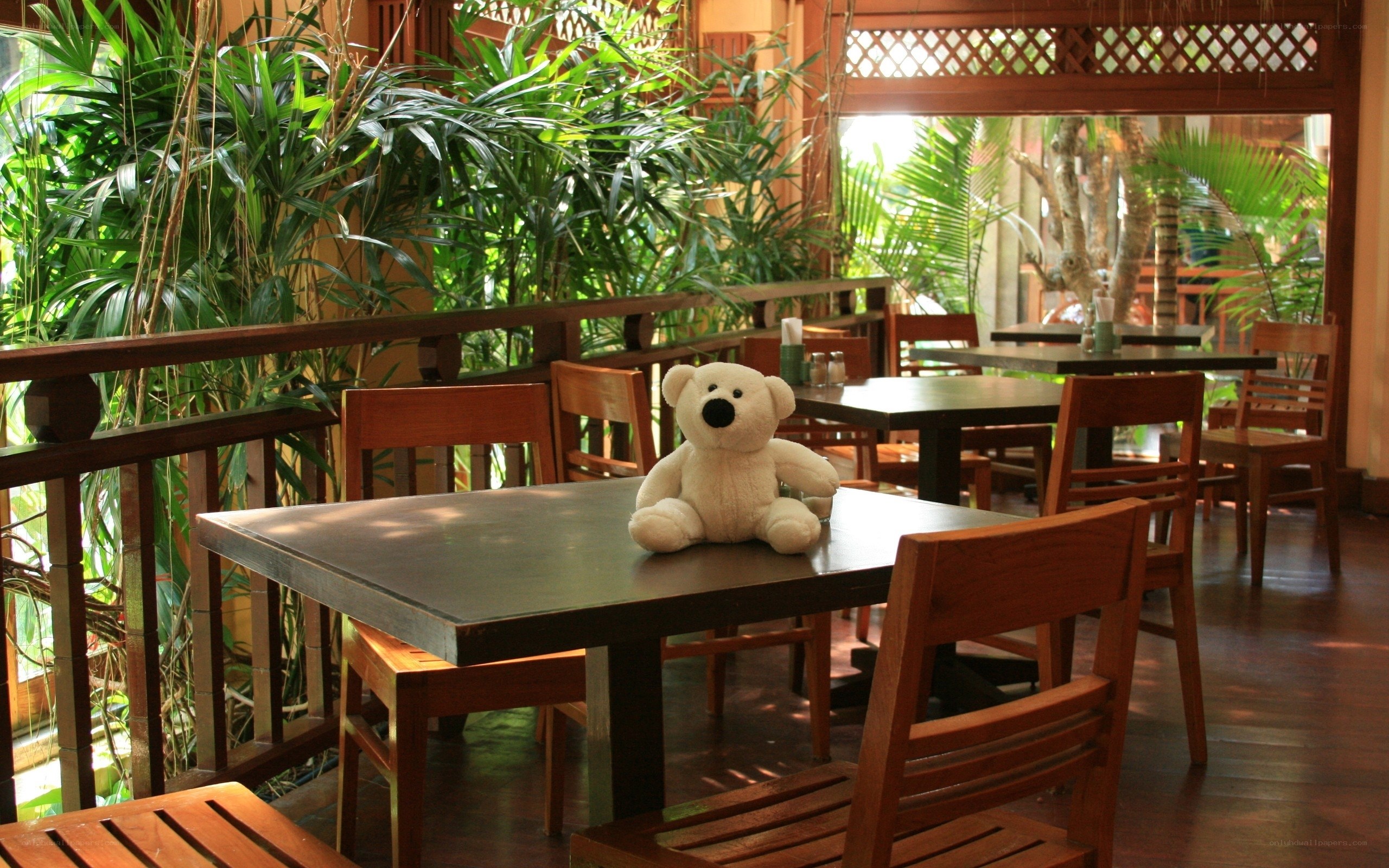 Teddy bear on a table
