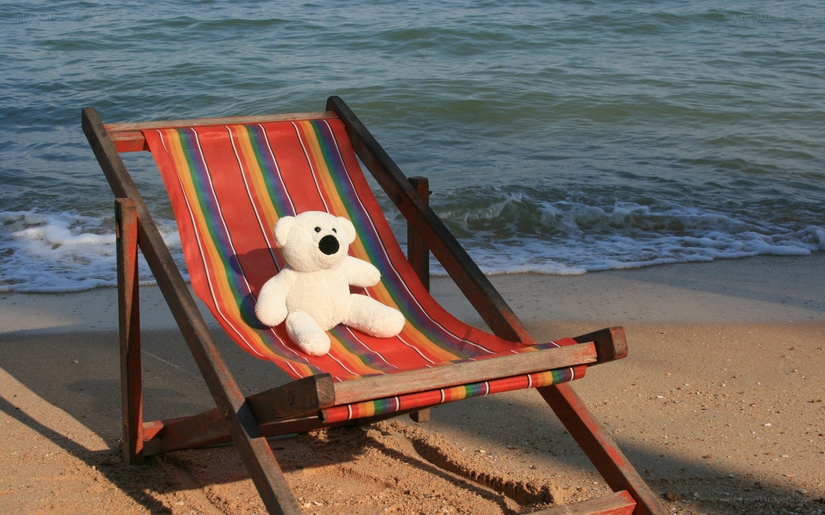 Teddy bear on beach chair