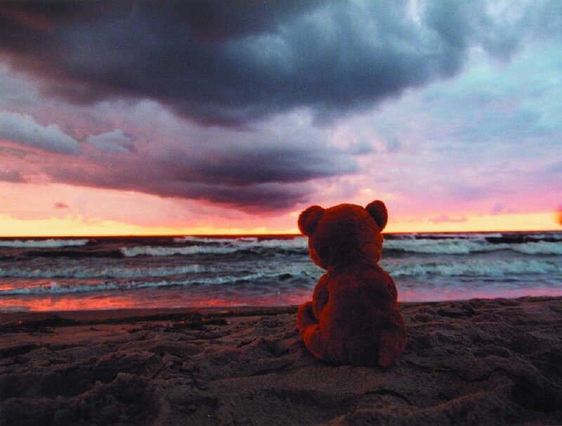 Teddy Bear on Beach