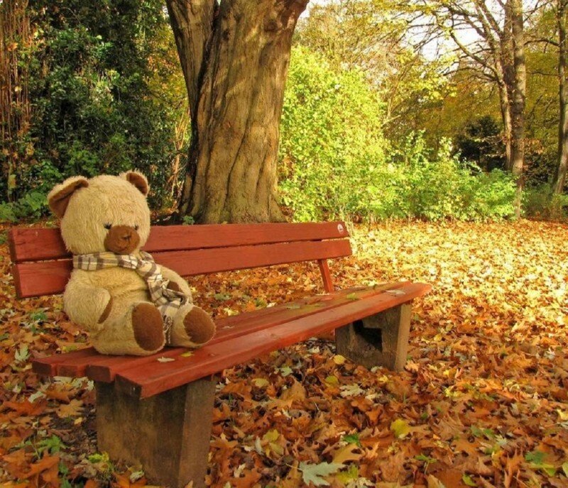 Teddy Bear on Bench — Brown, Serene