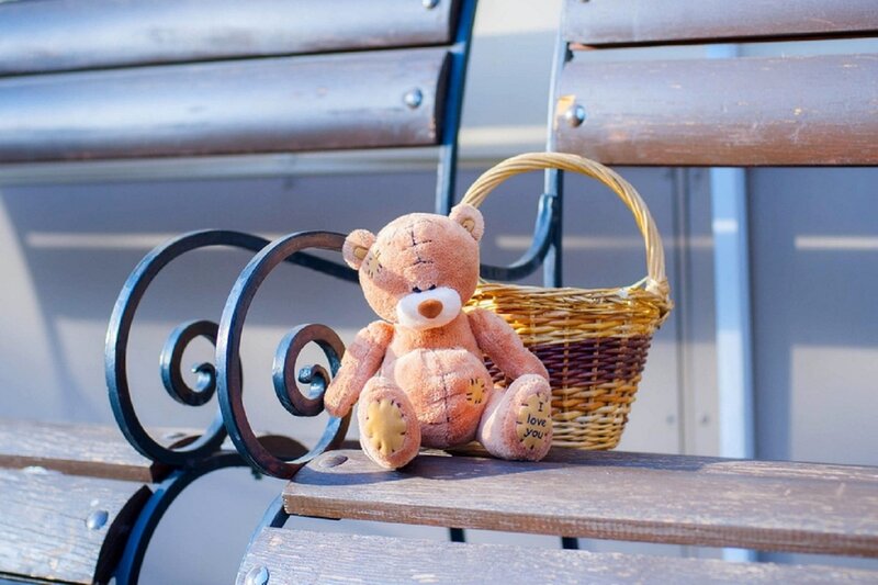 Teddy Bear on Bench — Brown