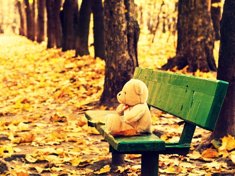 Teddy Bear on Bench — Green, Serene, Autumn