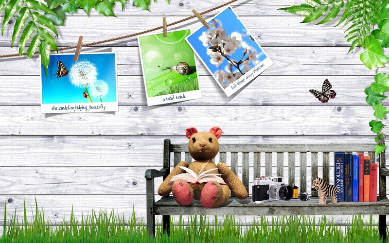 Teddy Bear on Bench — Green, Serene, Spring