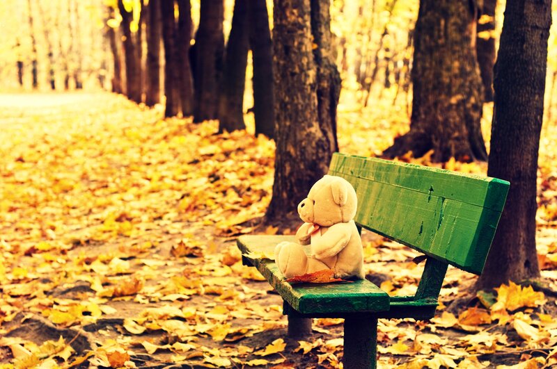 Teddy Bear on Bench — Green, Serene