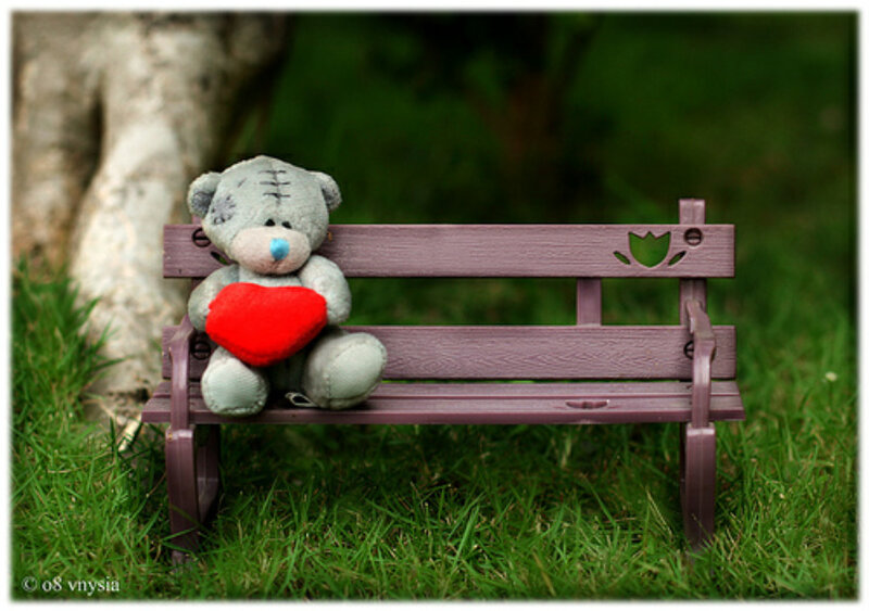 Teddy Bear on Bench