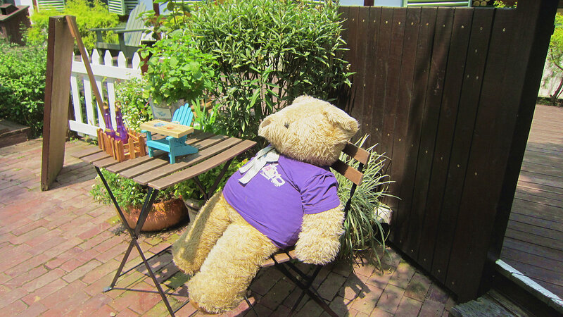 Teddy Bear on Chair — Brown