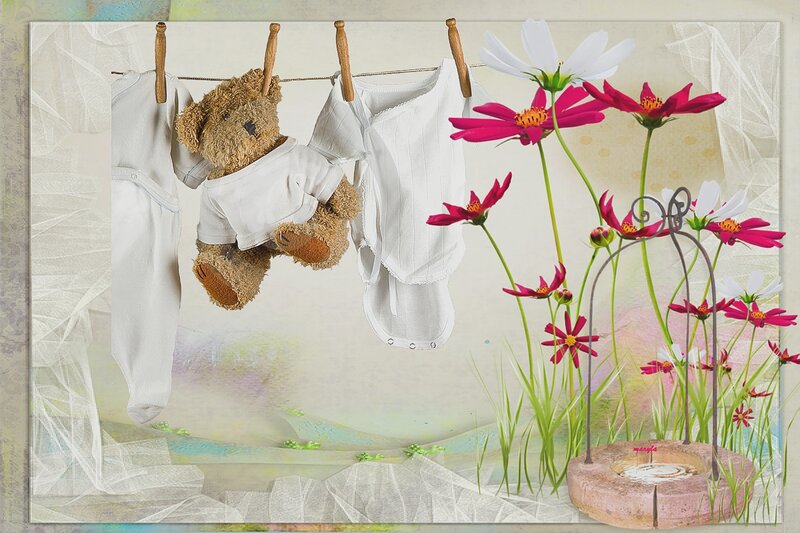 Teddy Bear on Clothesline