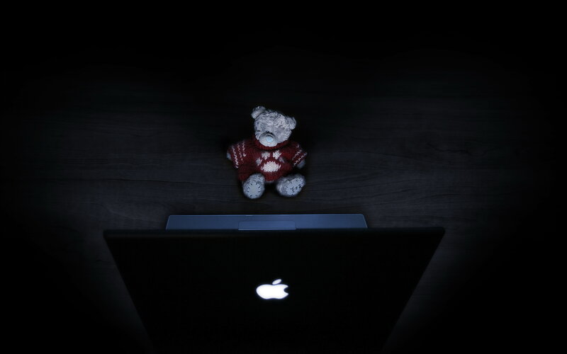 teddy bear on laptop