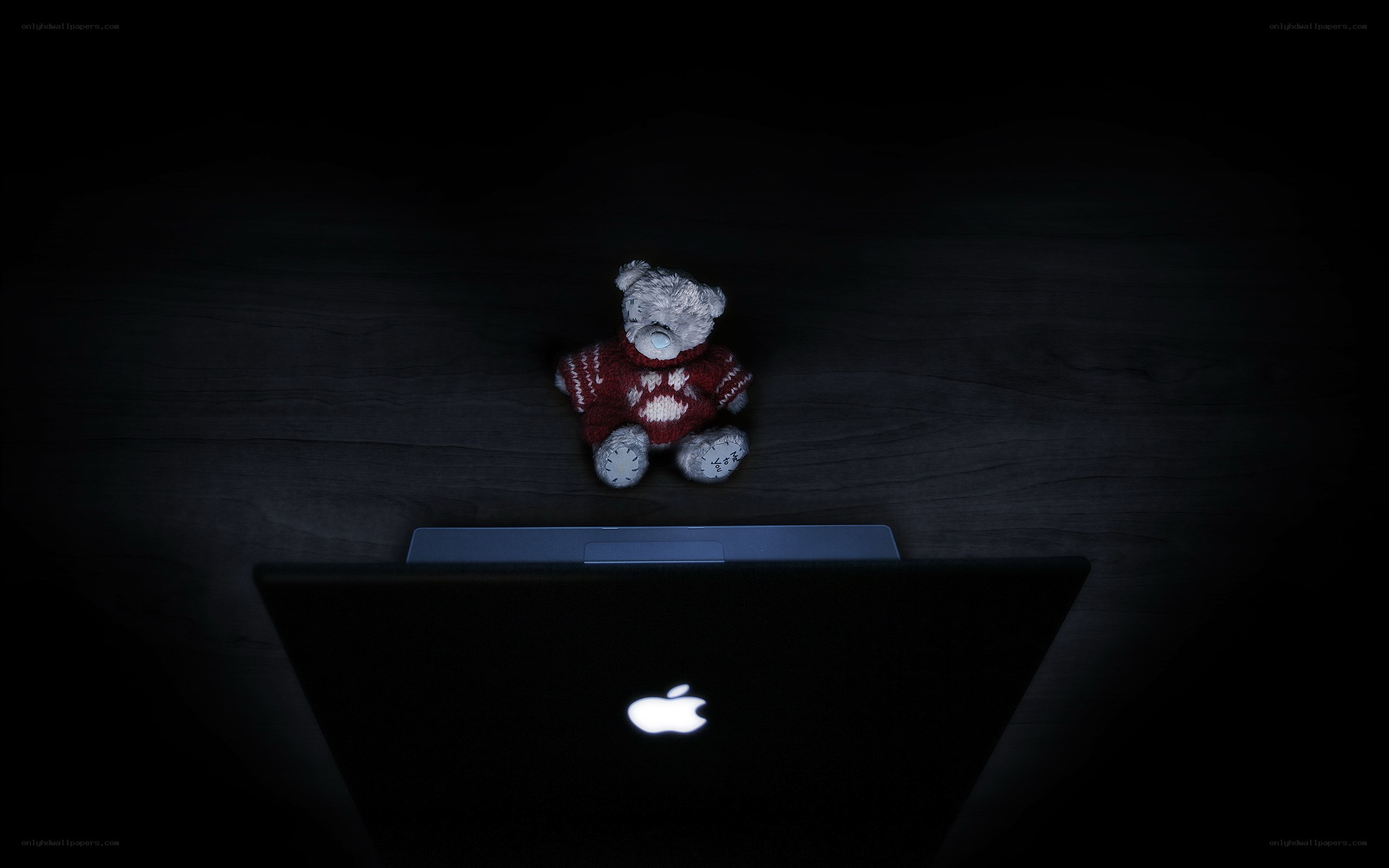 teddy bear on laptop