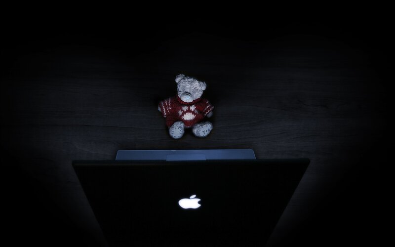 Teddy bear on laptop