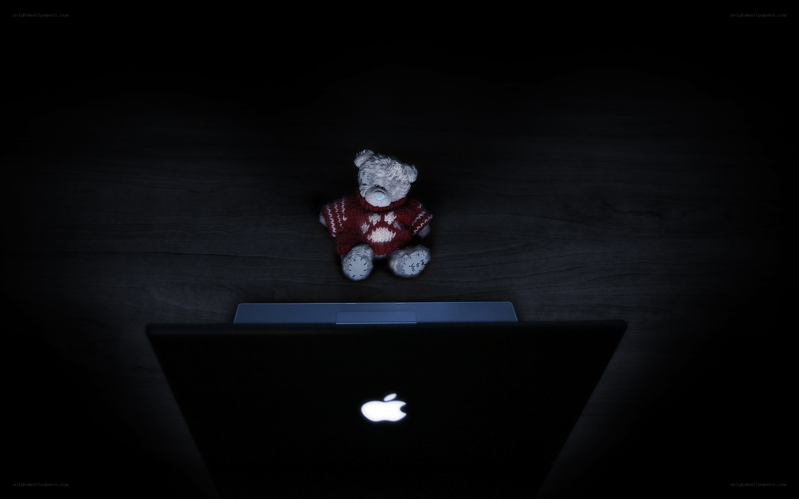 Teddy bear on laptop
