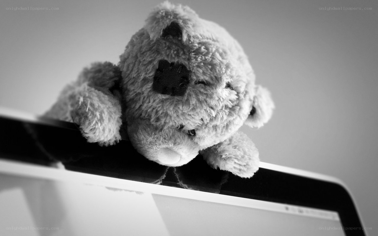 teddy bear on laptop