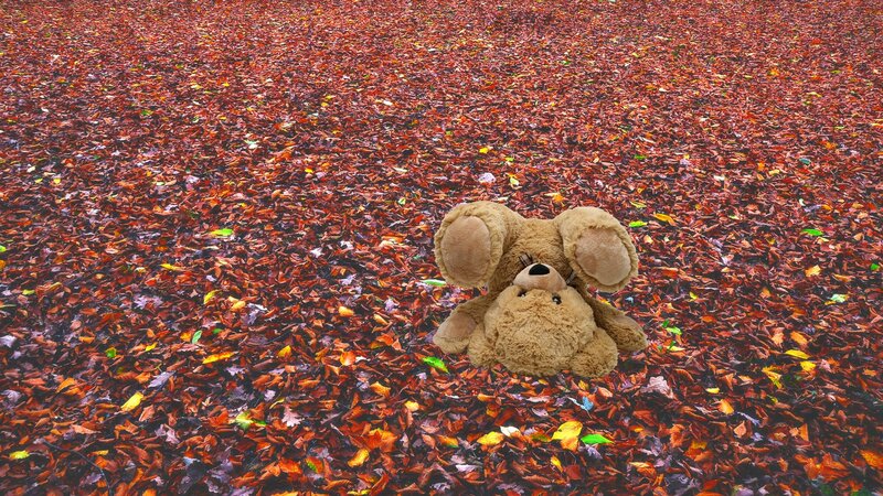 Teddy Bear on Leaves