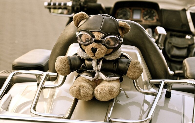 Teddy Bear on Motorcycle — Brown
