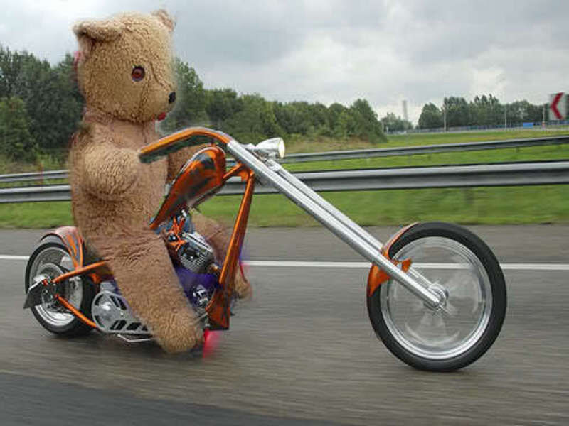 Teddy Bear on Motorcycle