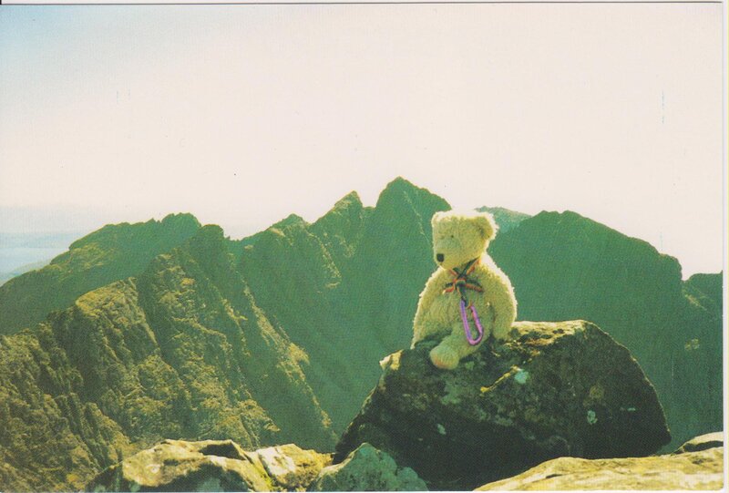 Teddy bear on mountain peak