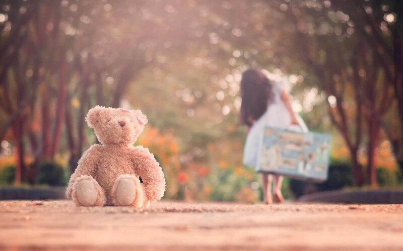Teddy Bear on Path — Brown, Serene, Afternoon