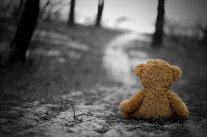 Teddy Bear on Path — Brown, Somber, Photograph, Trees, Forest