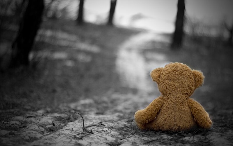Teddy Bear on Path — Brown, Somber, Photograph, Trees