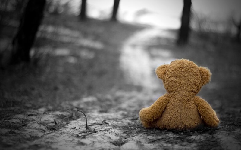 Teddy Bear on Path — Brown, Somber